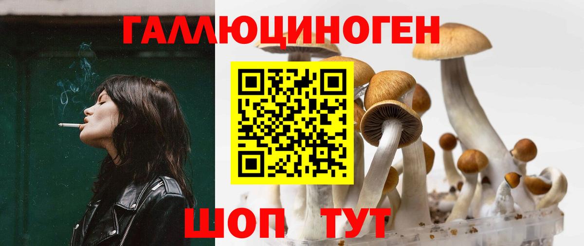Галлюциногенные грибы Magic Shrooms  Вход с VPN  Удомля 
